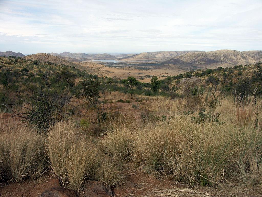 090516_Pilanesberg 136.jpg